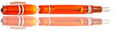Visconti Homo Sapiens Demo Stones Fountain Pens in Mandarin Garnet