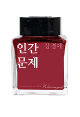 Wearingeul Korean Female Modern Literature Collection 30ml  Fountain Pen Ink