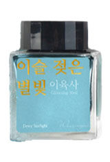 Dewy Starlight (Glistening) Wearingeul Lee Yuk-sa Collection 30ml Fountain Pen Ink