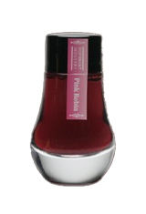 Pink Robin Dominant Industry Alchemist 25ml Calligraphy Fountain Pen Ink