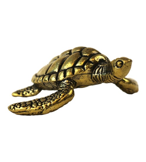 https://images.penchalet.com/products/enlarge/14141-SeaTurtle-zoom.jpg