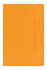 2024 Orange Rhodia Webplanner Memo & Notebooks