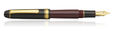 Platinum 3776 My Favorite Things Collection Fountain Pens in Coffee Jelly