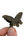 Pen Chalet Butterfly Brass Binder Clips Executive Gifts & Desk Accessories in Butterfly