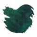 Pilot Iroshizuku Bottled Ink(50ml) Fountain Pen Ink color swatch in Dew on Pine Tree