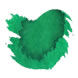 Caran dAche Chromatics (50ml) Fountain Pen Ink color swatch in Vibrant Green