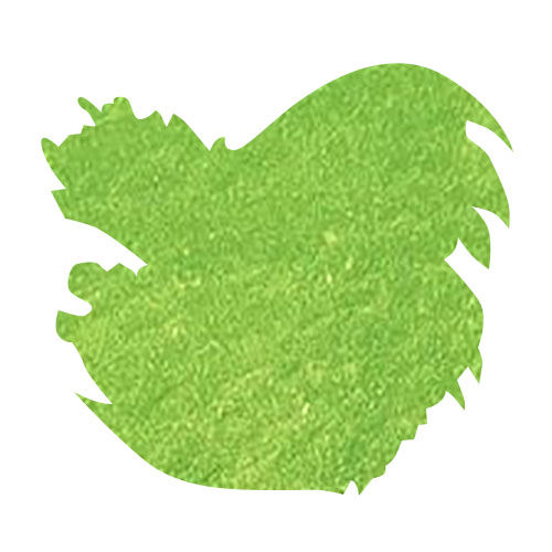 Leonardo Officina Italiana Bottled Ink(40ml) Fountain Pen Ink color swatch in Apple Green