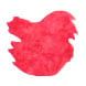 Sailor USA 50 State(20ml) Fountain Pen Ink color swatch in North Carolina