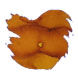 Van Diemans Ink Harvest (30ml) Fountain Pen Ink color swatch in Peanut Brittle