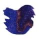 Wearingeul World Literature Collection 30ml Fountain Pen Ink color swatch in The Count of Monte Cristo (Glistening)