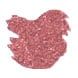 Wearingeul Wonderful Wizard of Oz Glitter Potion Fountain Pen Ink color swatch in Heart 10ml (Rose Gold / Silver)