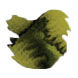 Krishna Revolution Series 20ml Fountain Pen Ink color swatch in Ghat Green