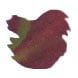 Diamine Purple Edition 50ml Fountain Pen Ink color swatch in Bah Humbug (Chameleon)