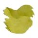 Van Diemans Ink Encore 4ml Fountain Pen Ink color swatch in Maestro