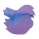 Van Diemans Ink Encore 4ml Fountain Pen Ink color swatch in Pas de Deux
