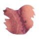 Tono & Lims Friendship Line 30ml Fountain Pen Ink color swatch in Chocolate Cosmos