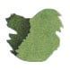 Tono & Lims Friendship Line 30ml Fountain Pen Ink color swatch in Green River (shimmer)