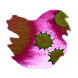 Diamine Black Edition 50ml Fountain Pen Ink color swatch in Cranberry (Standard)