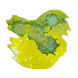 Diamine Black Edition 50ml Fountain Pen Ink color swatch in Lemon & Lime (Chameleon)