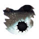 Diamine Black Edition 50ml Fountain Pen Ink color swatch in Tundra (Standard)