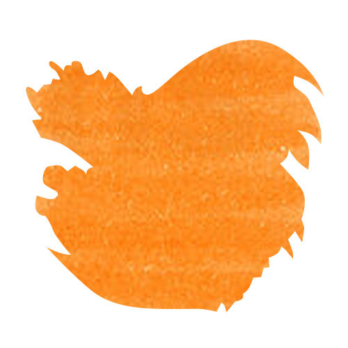 J Herbin Bottled Ink(30ml) Fountain Pen Ink color swatch in Orange Indien 