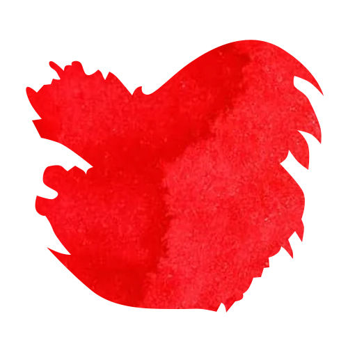 J Herbin Bottled Ink(30ml) Fountain Pen Ink color swatch in Rouge Caroubier 