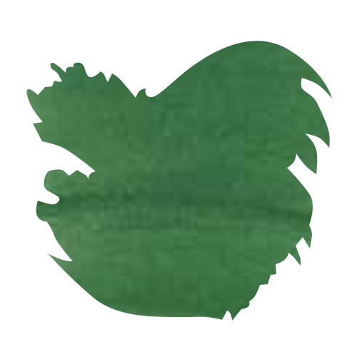 J Herbin Bottled Ink(30ml) Fountain Pen Ink color swatch in Vert Empire 