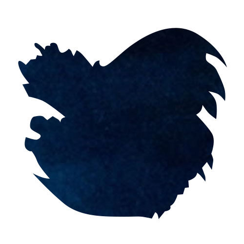 Diamine Bottled Ink(80ml) Fountain Pen Ink color swatch in Blue Black