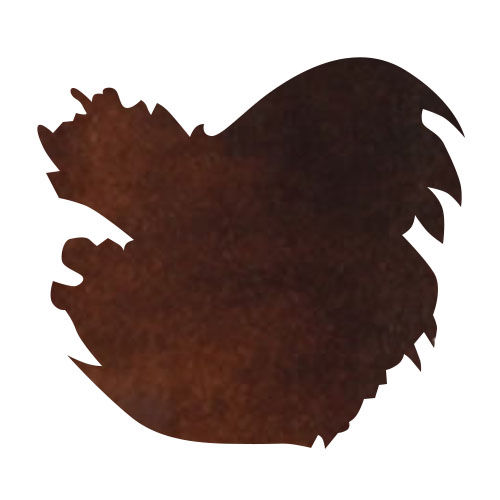 Diamine Bottled Ink(80ml) Fountain Pen Ink color swatch in Chocolate Brown