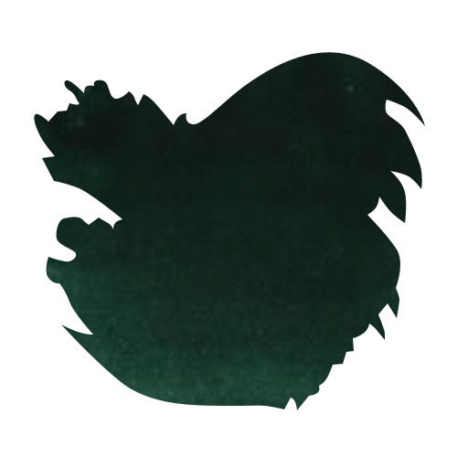 Diamine Bottled Ink(80ml) Fountain Pen Ink color swatch in Green Black