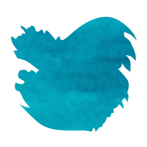 Diamine Bottled Ink(80ml) Fountain Pen Ink color swatch in Marine
