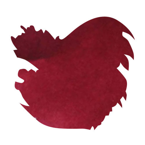 Diamine Bottled Ink(80ml) Fountain Pen Ink color swatch in Syrah