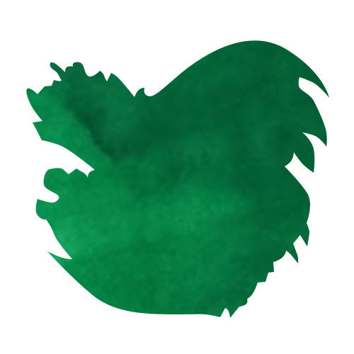 Diamine Bottled Ink(80ml) Fountain Pen Ink color swatch in Ultra Green