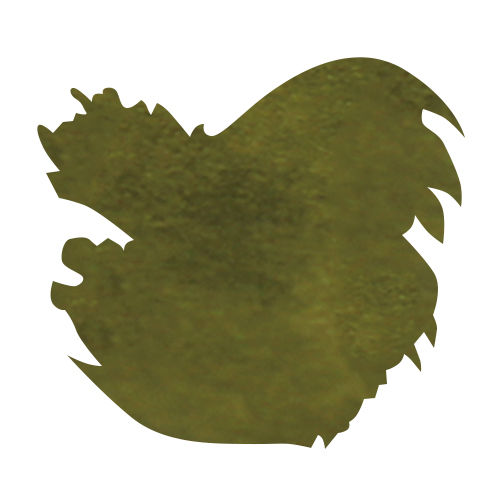 J Herbin Bottled Ink(10ml) Fountain Pen Ink color swatch in Vert Cactus