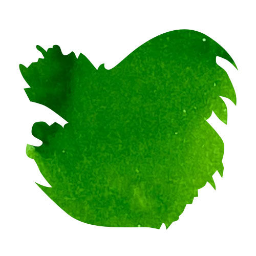 Sailor USA 50 State(20ml) Fountain Pen Ink color swatch in Kentucky