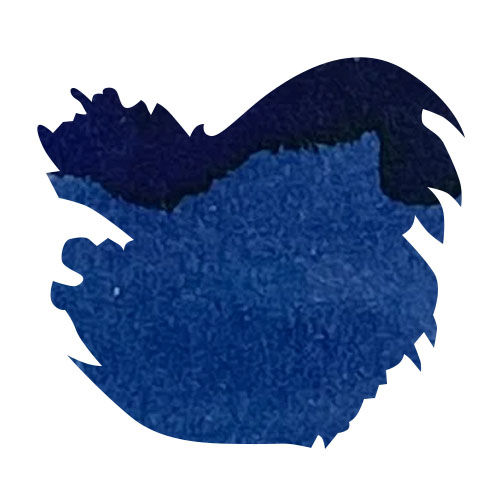 Sailor USA 50 State(20ml) Fountain Pen Ink color swatch in New York