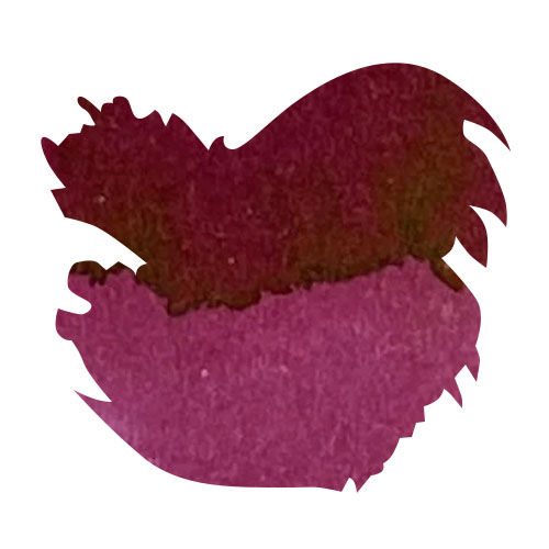 Sailor USA 50 State(20ml) Fountain Pen Ink color swatch in South Carolina