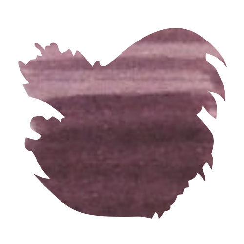 Monteverde Jungle Collection 30ml Fountain Pen Ink color swatch in Chameleon (Burgundy)