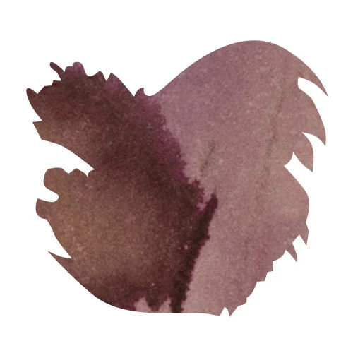 Wearingeul Dante's Divine Comedy Collection 4ml Sample Fountain Pen Ink color swatch in Purgatorio