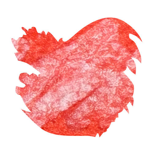 Monteverde 2025 DC Supershow Limited Edition 30ml Fountain Pen Ink color swatch in Foxy Orange