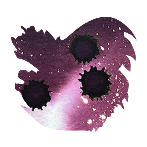 Diamine Black Edition 50ml Fountain Pen Ink color swatch in Forest Gateua (Scented)