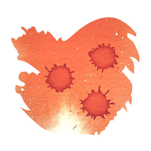 Diamine Black Edition 50ml Fountain Pen Ink color swatch in Fruit Cocktail (Scented)
