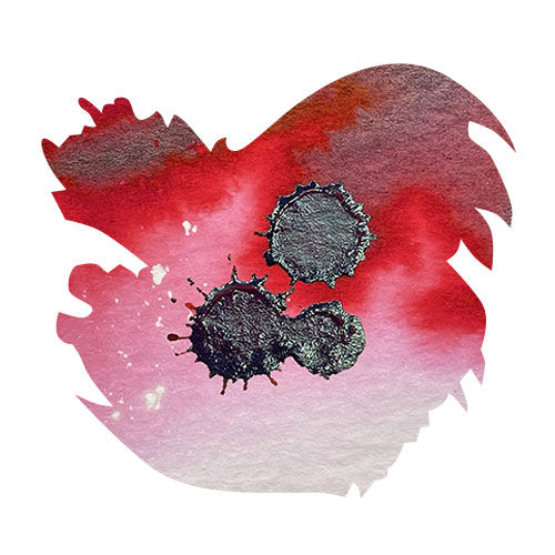 Diamine Black Edition 50ml Fountain Pen Ink color swatch in Grotto (Extreme Sheen)