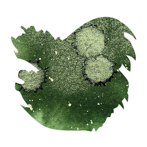 Diamine Black Edition 50ml Fountain Pen Ink color swatch in Pine Needle (Chameleon)