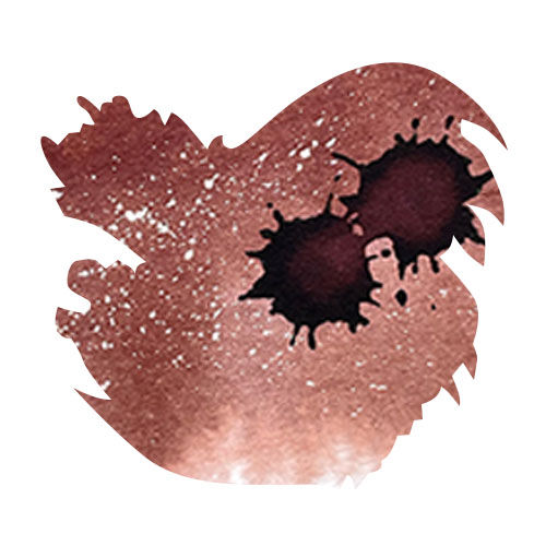 Diamine Black Edition 50ml Fountain Pen Ink color swatch in Wilted Rose (Standard)